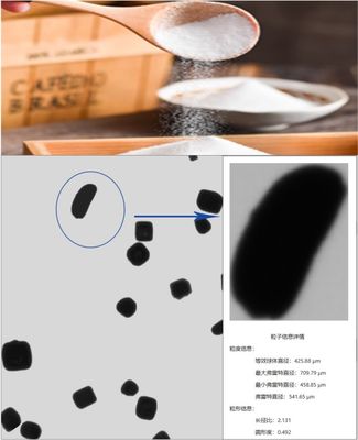 Portable Dynamic Image Grain Size Analyzer with 10-2500 μm Measurement Range and 8-inch Color Screen