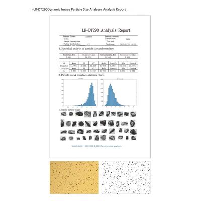 ISO 13322 Image Particle Size and Shape Analyzer Telecentric Optical System Dynamic Dual-channel Particle Morphology Tester